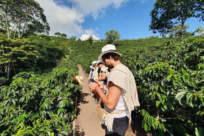 Coffee Farm in Salento, Columbia, best places to visit in Colombia for couples