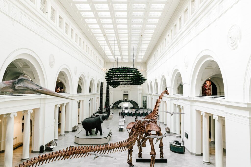 field museum chicago, 10 best places to visit, chicago, 10 best places to visit in chicago