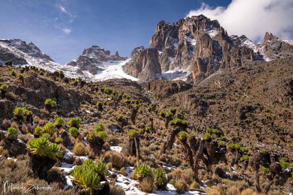 Mount Kenya, places to visit in Kenya