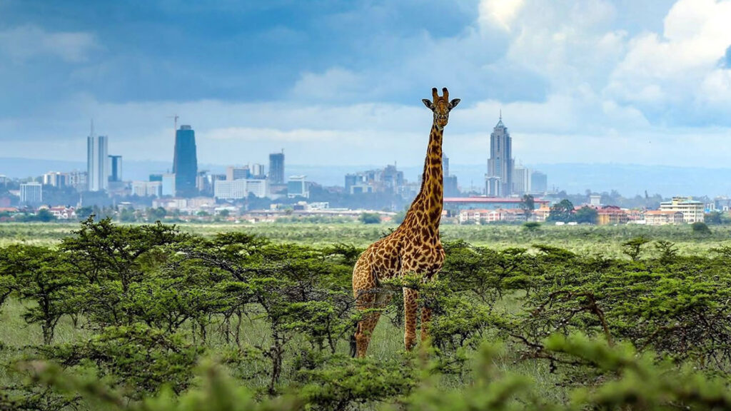 Nairobi National Park, places to visit in Kenya