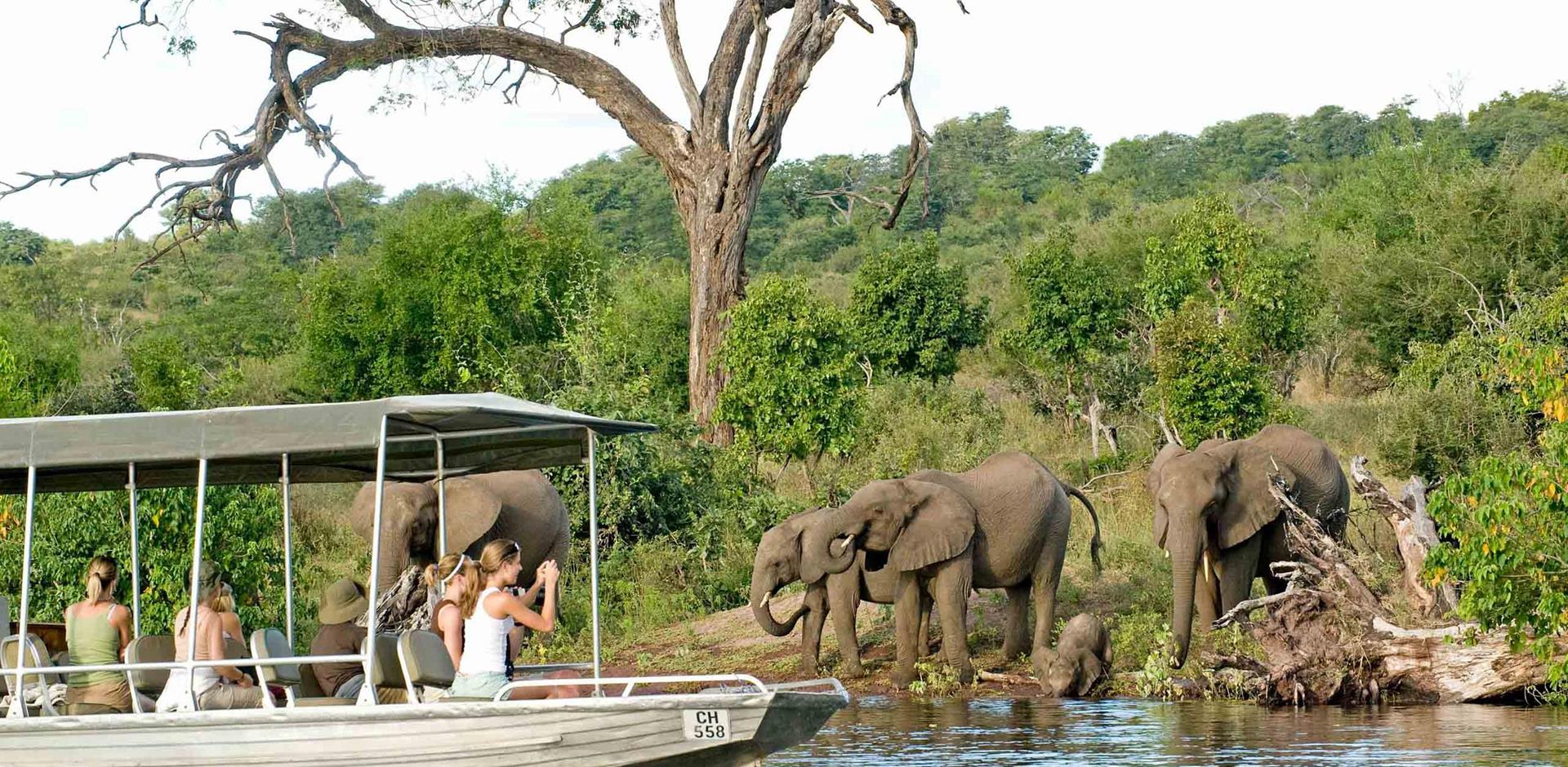 Olifants River Safari, best places to visit in South Africa